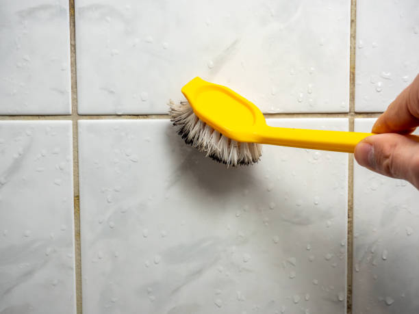 Best Commercial Mold Removal  in Guntersville, AL