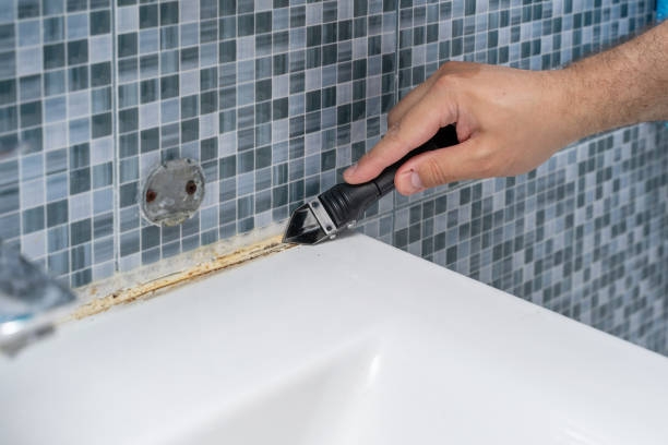 Best Best Mold Removal Companies  in Guntersville, AL